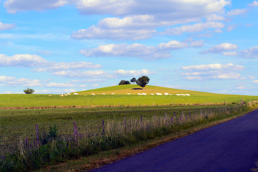 Petite colline