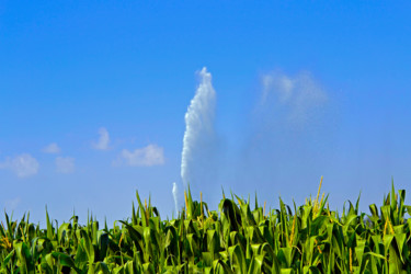 Geyser en Berry