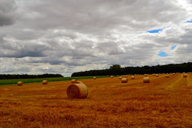 Nuages de champs