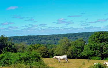 Paysage à la vache