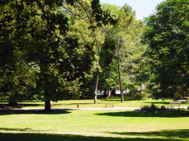 Banc de forêt