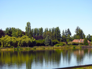 Reflet végétal