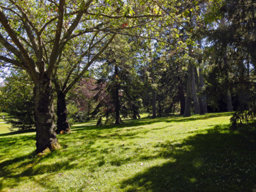 Parc penché