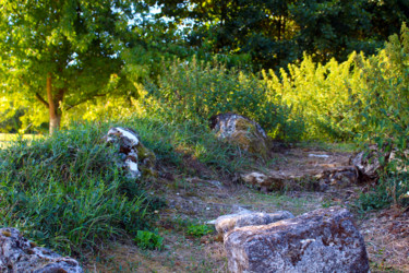 Chemin de pierres