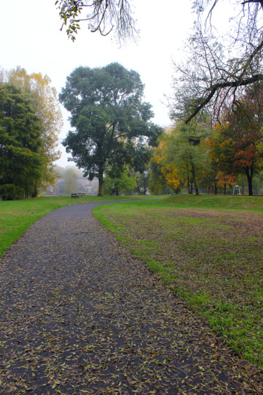 Allée d'automnne