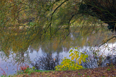 Au bord de l'eau