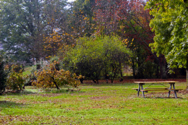 Rouge et vert