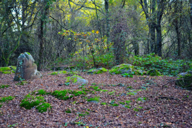 Repaire de druides